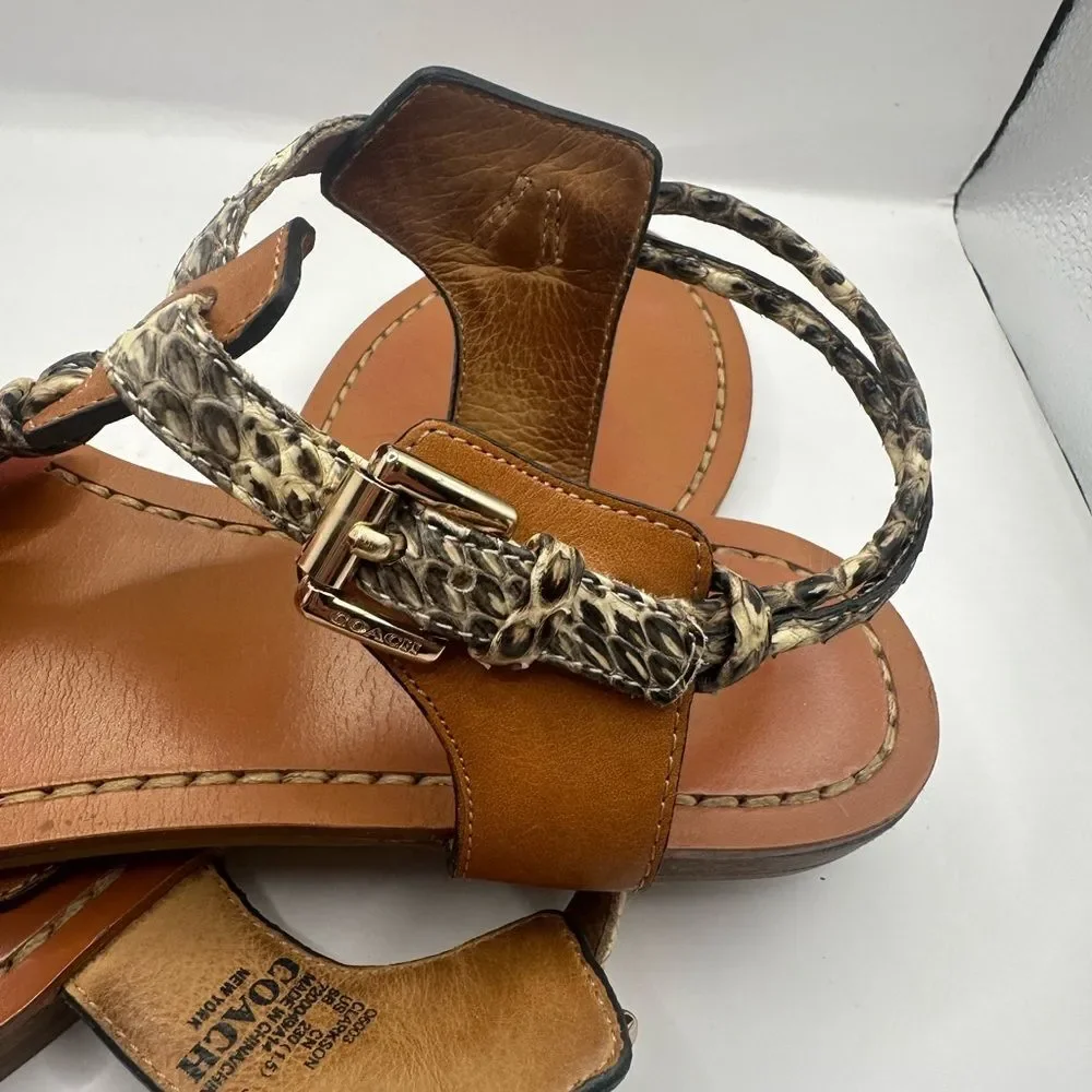 Coach Clarkson women,Snake print, Roccia Ginger thong Sandal Size 6